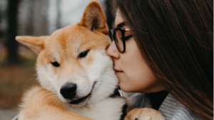 Animals & Emotional Healing