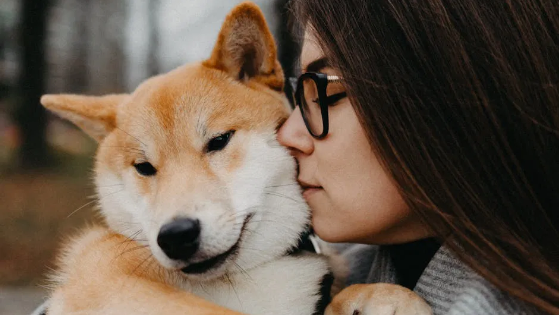 Animals & Emotional Healing